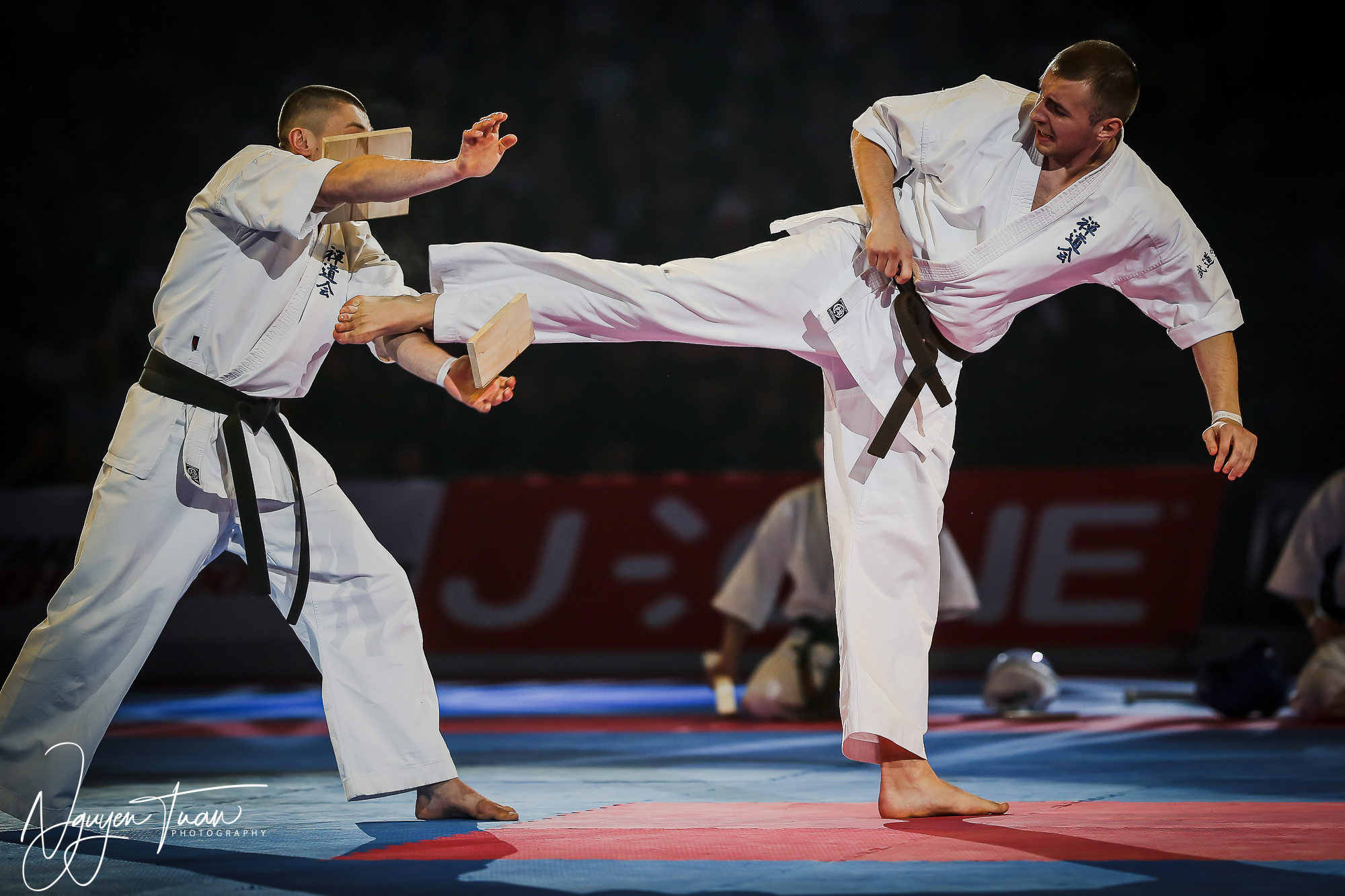 20190324 Festival des Arts Martiaux 3328